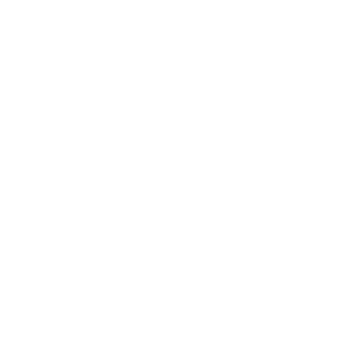 car detail