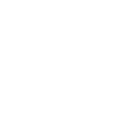 car service